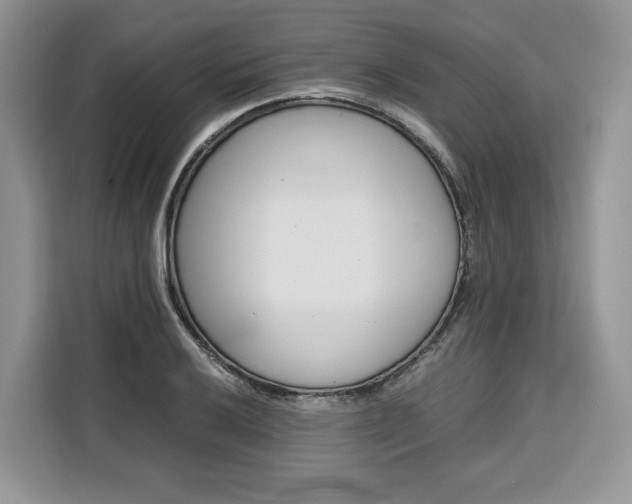 X0000110321032200905211201
