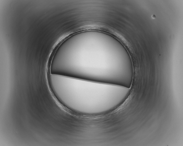 X0000110321034200905211201
