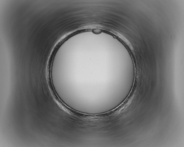X0000110321037200905211201