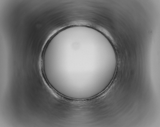 X0000110321040200905211201