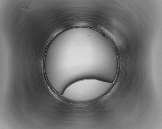 X0000110321041200905211201