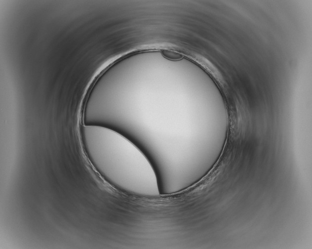 X0000110321044200905211201