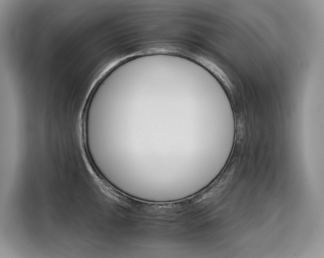 X0000110321047200905211202