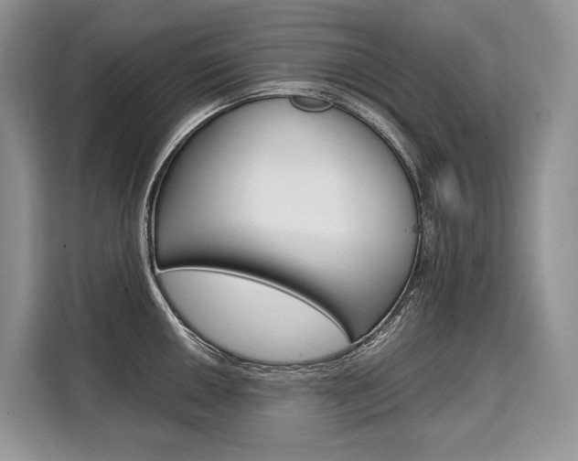 X0000110321050200905211202