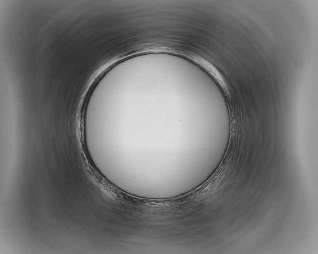 X0000110321051200905211202