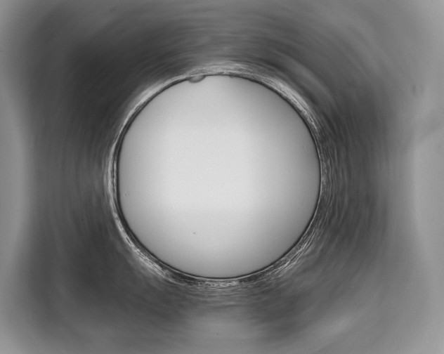 X0000110321055200905211202