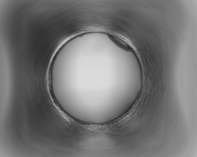 X0000110321056200905211202