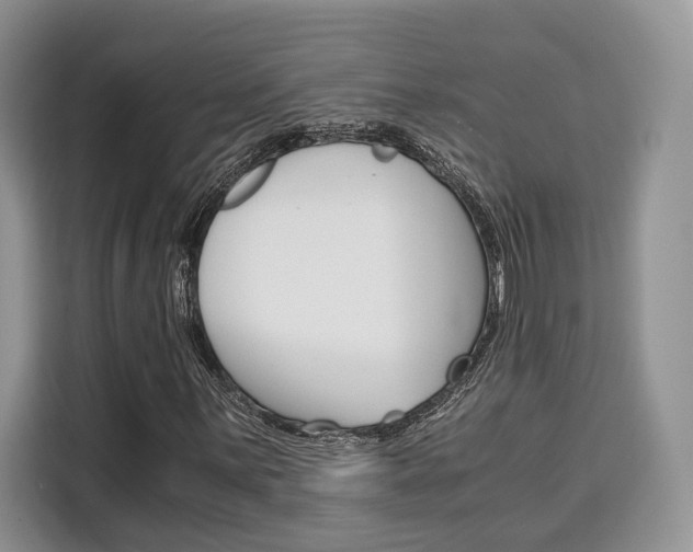 X0000110321059200905211201