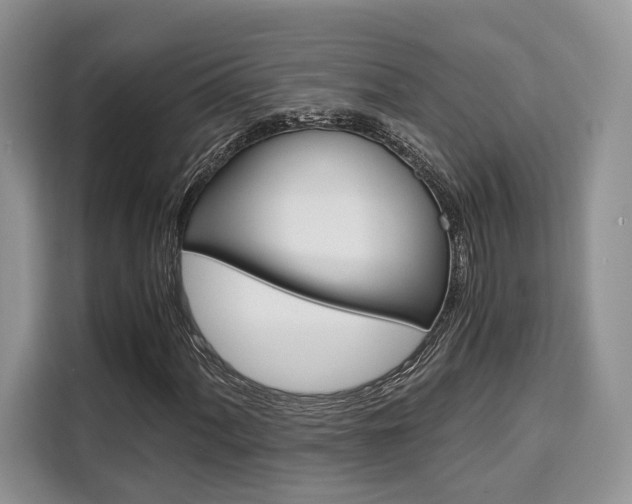 X0000110321060200905211201