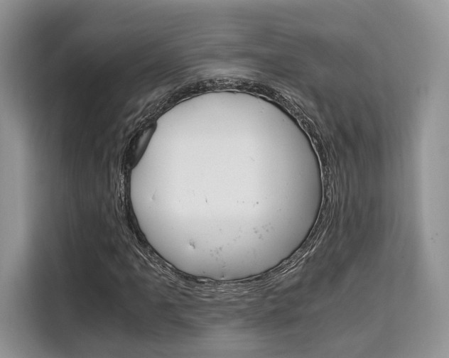 X0000110321061200905211201