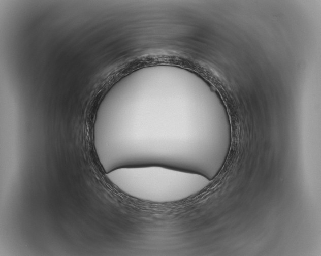 X0000110321062200905211201