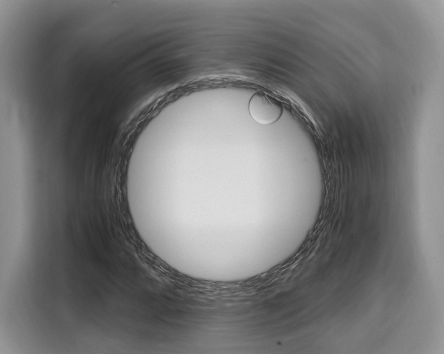 X0000110321064200905211201