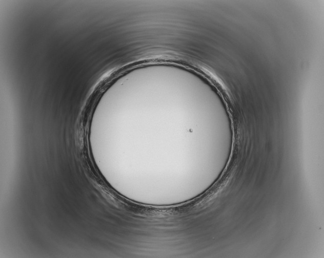 X0000110321067200905211201