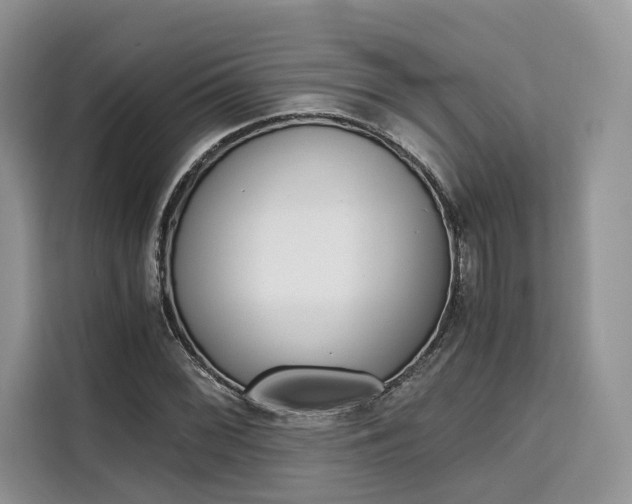 X0000110321068200905211201