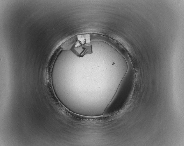 X0000110321069200905211201