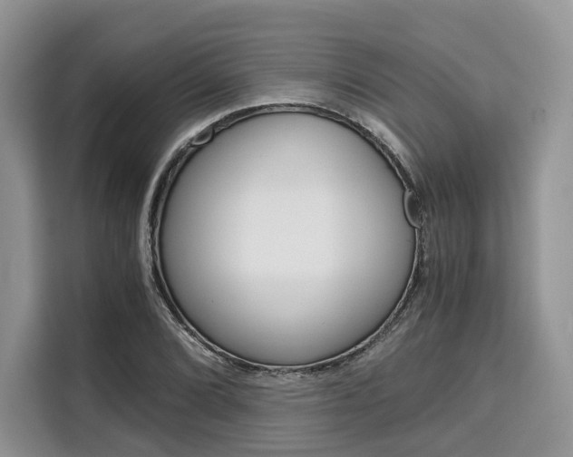 X0000110321072200905211201