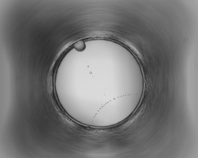 X0000110321075200905211201