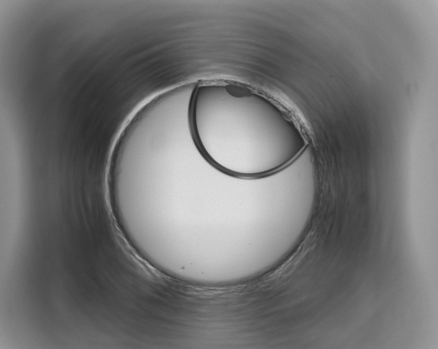 X0000110321076200905211201