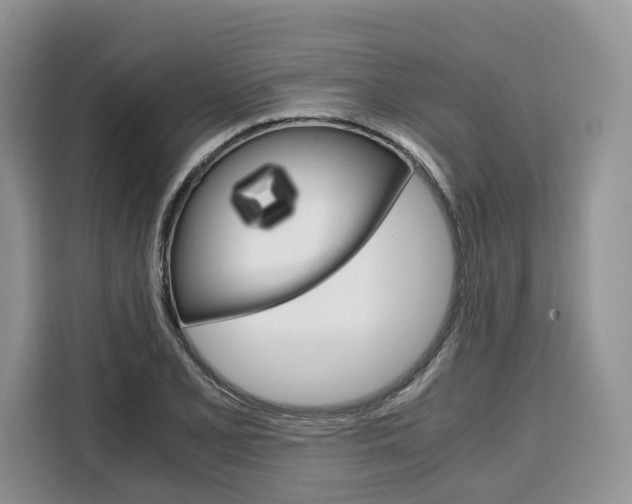 X0000110321077200905211201