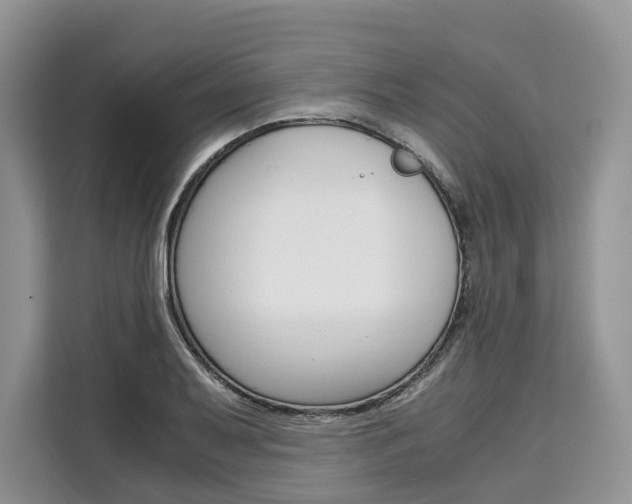 X0000110321079200905211201