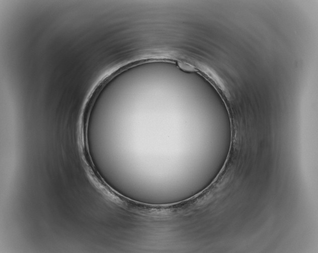 X0000110321080200905211201
