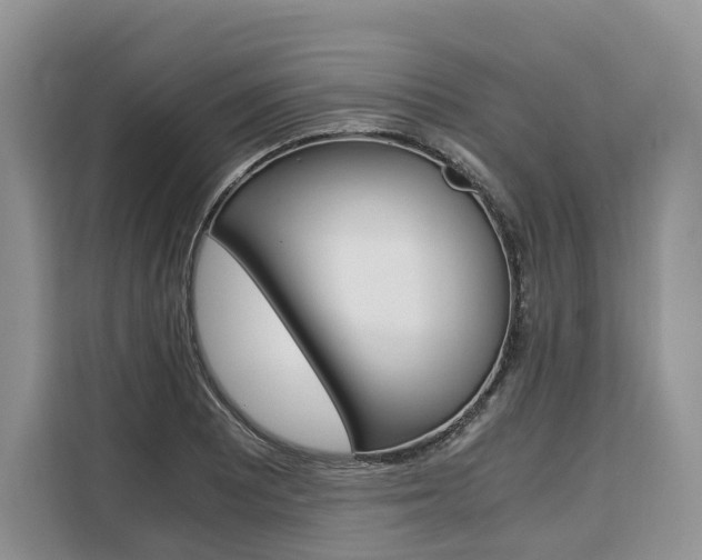 X0000110321081200905211201