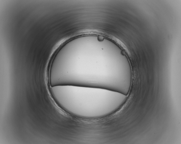 X0000110321082200905211201