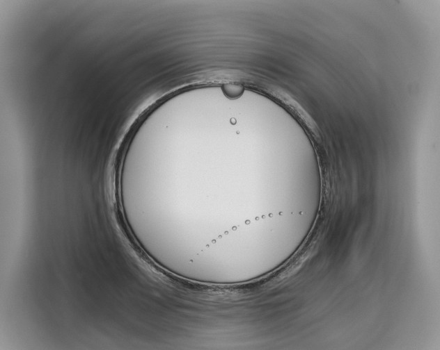 X0000110321083200905211201