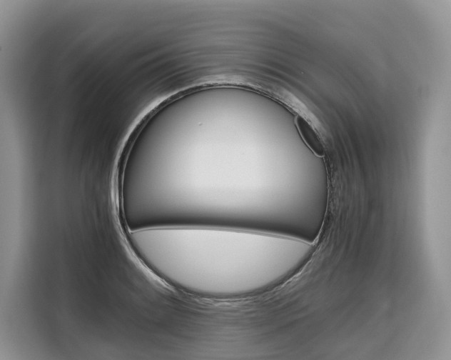 X0000110321084200905211201