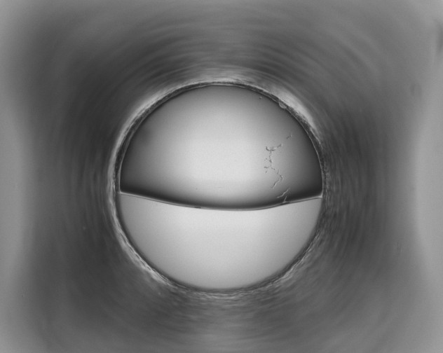 X0000110321088200905211200