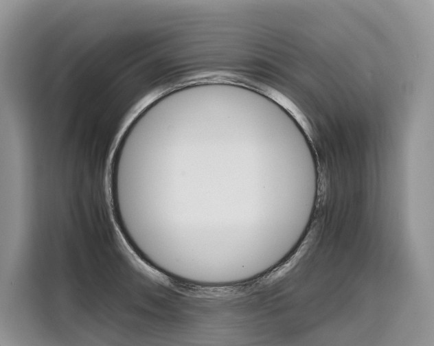 X0000110321090200905211200