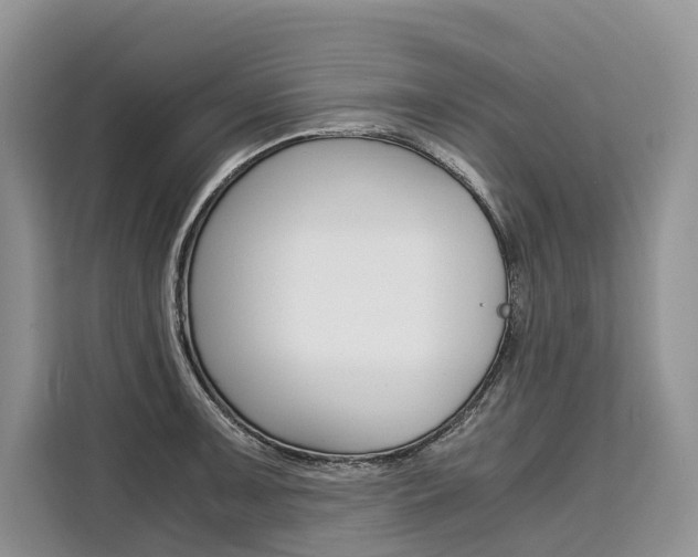 X0000110321091200905211200