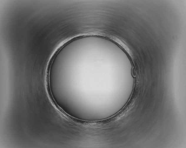 X0000110321093200905211200