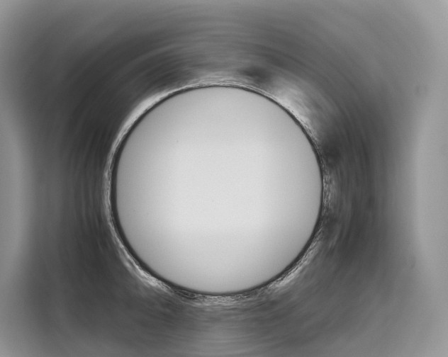X0000110321094200905211200