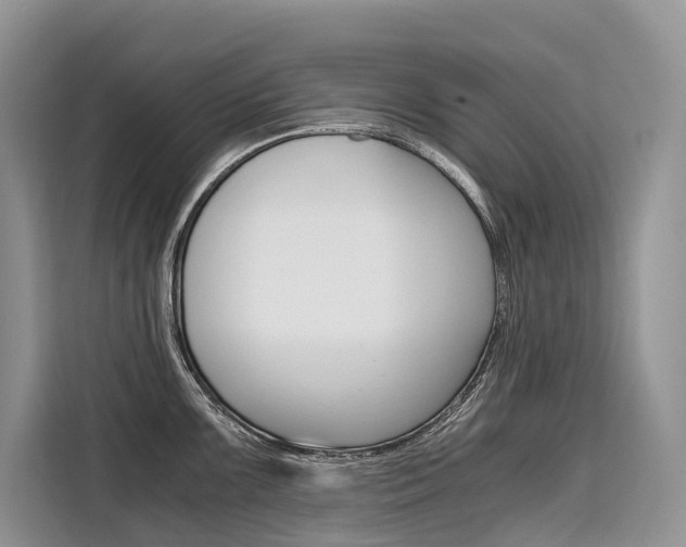 X0000110321099200905211200