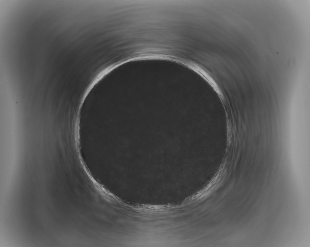X0000110321101200905211200