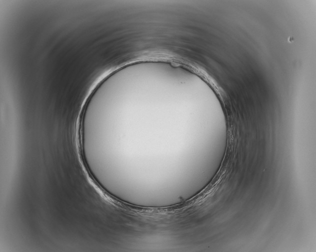 X0000110321103200905211200