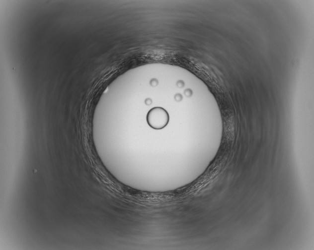 X0000110321105200905211200