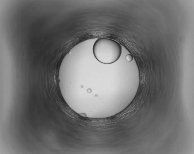 X0000110321106200905211200