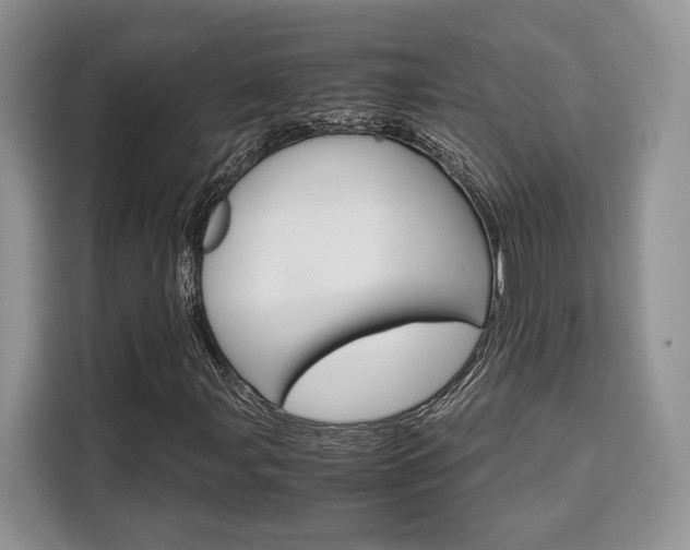 X0000110321107200905211200