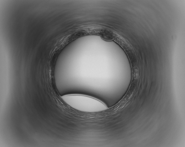 X0000110321108200905211200