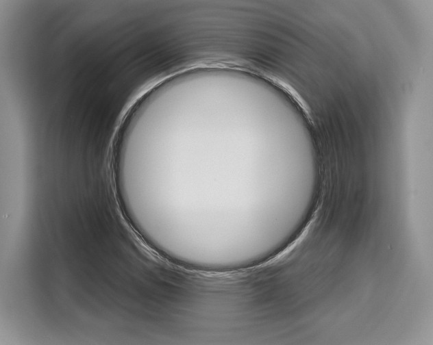 X0000110321114200905211200