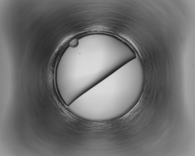 X0000110321115200905211200