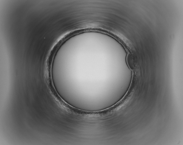 X0000110321118200905211200