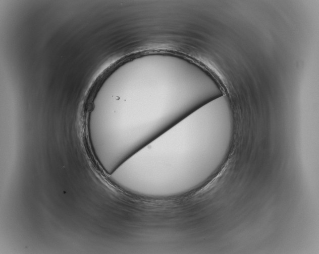 X0000110321119200905211200