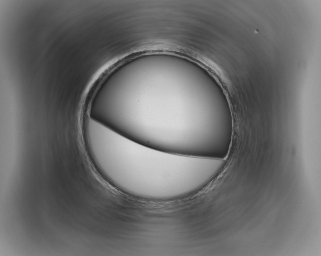 X0000110321120200905211200