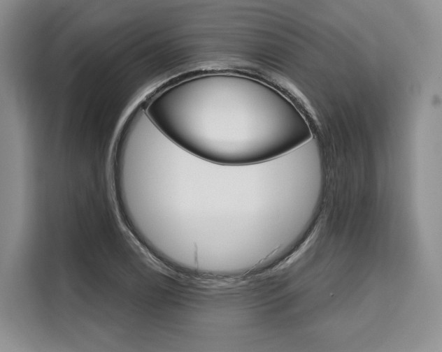 X0000110321122200905211200