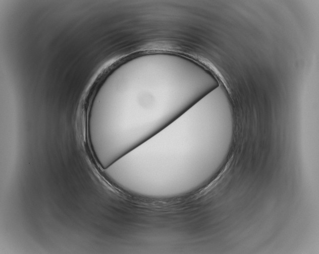 X0000110321123200905211200