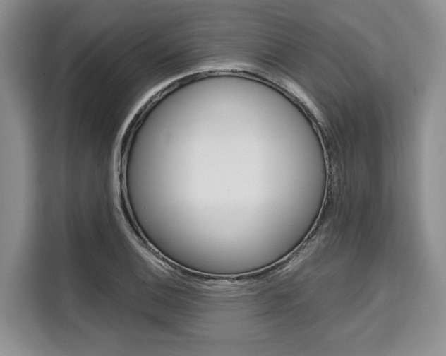 X0000110321124200905211200