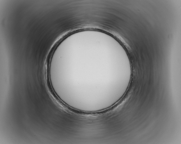 X0000110321126200905211200